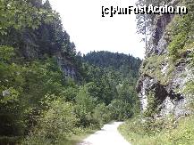 [P11] Spre cascada, prin Cheile Vaii Stanciului... » foto by dartax
 - 
<span class="allrVoted glyphicon glyphicon-heart hidden" id="av133080"></span>
<a class="m-l-10 hidden" id="sv133080" onclick="voting_Foto_DelVot(,133080,7213)" role="button">șterge vot <span class="glyphicon glyphicon-remove"></span></a>
<a id="v9133080" class=" c-red"  onclick="voting_Foto_SetVot(133080)" role="button"><span class="glyphicon glyphicon-heart-empty"></span> <b>LIKE</b> = Votează poza</a> <img class="hidden"  id="f133080W9" src="/imagini/loader.gif" border="0" /><span class="AjErrMes hidden" id="e133080ErM"></span>