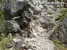 [P12] Zona de catarare si de tiroliana. Cu rosu se vad punctele de plecare in trasee, denumite diferit. » foto by dartax
 - 
<span class="allrVoted glyphicon glyphicon-heart hidden" id="av133084"></span>
<a class="m-l-10 hidden" id="sv133084" onclick="voting_Foto_DelVot(,133084,7213)" role="button">șterge vot <span class="glyphicon glyphicon-remove"></span></a>
<a id="v9133084" class=" c-red"  onclick="voting_Foto_SetVot(133084)" role="button"><span class="glyphicon glyphicon-heart-empty"></span> <b>LIKE</b> = Votează poza</a> <img class="hidden"  id="f133084W9" src="/imagini/loader.gif" border="0" /><span class="AjErrMes hidden" id="e133084ErM"></span>