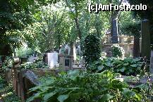 [P31] Cimitirul bisericii protestante Avas » foto by Costi
 - 
<span class="allrVoted glyphicon glyphicon-heart hidden" id="av163554"></span>
<a class="m-l-10 hidden" id="sv163554" onclick="voting_Foto_DelVot(,163554,7252)" role="button">șterge vot <span class="glyphicon glyphicon-remove"></span></a>
<a id="v9163554" class=" c-red"  onclick="voting_Foto_SetVot(163554)" role="button"><span class="glyphicon glyphicon-heart-empty"></span> <b>LIKE</b> = Votează poza</a> <img class="hidden"  id="f163554W9" src="/imagini/loader.gif" border="0" /><span class="AjErrMes hidden" id="e163554ErM"></span>