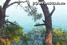 [P27]  -- <small>// FĂRĂ DESCRIERE</small> » foto by florianais
 - 
<span class="allrVoted glyphicon glyphicon-heart hidden" id="av249633"></span>
<a class="m-l-10 hidden" id="sv249633" onclick="voting_Foto_DelVot(,249633,7269)" role="button">șterge vot <span class="glyphicon glyphicon-remove"></span></a>
<a id="v9249633" class=" c-red"  onclick="voting_Foto_SetVot(249633)" role="button"><span class="glyphicon glyphicon-heart-empty"></span> <b>LIKE</b> = Votează poza</a> <img class="hidden"  id="f249633W9" src="/imagini/loader.gif" border="0" /><span class="AjErrMes hidden" id="e249633ErM"></span>