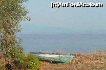[P50] A boat...... » foto by florianais
 - 
<span class="allrVoted glyphicon glyphicon-heart hidden" id="av249667"></span>
<a class="m-l-10 hidden" id="sv249667" onclick="voting_Foto_DelVot(,249667,7269)" role="button">șterge vot <span class="glyphicon glyphicon-remove"></span></a>
<a id="v9249667" class=" c-red"  onclick="voting_Foto_SetVot(249667)" role="button"><span class="glyphicon glyphicon-heart-empty"></span> <b>LIKE</b> = Votează poza</a> <img class="hidden"  id="f249667W9" src="/imagini/loader.gif" border="0" /><span class="AjErrMes hidden" id="e249667ErM"></span>