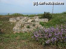 [P01] Cap Kaliakra - Urme ale unei cetati antice pe un promontoriu de o frumusete salbatica. » foto by iulianic
 - 
<span class="allrVoted glyphicon glyphicon-heart hidden" id="av329076"></span>
<a class="m-l-10 hidden" id="sv329076" onclick="voting_Foto_DelVot(,329076,7421)" role="button">șterge vot <span class="glyphicon glyphicon-remove"></span></a>
<a id="v9329076" class=" c-red"  onclick="voting_Foto_SetVot(329076)" role="button"><span class="glyphicon glyphicon-heart-empty"></span> <b>LIKE</b> = Votează poza</a> <img class="hidden"  id="f329076W9" src="/imagini/loader.gif" border="0" /><span class="AjErrMes hidden" id="e329076ErM"></span>