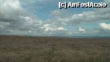 [P41] Moorland. Batea un vant de te lua pe sus ... » foto by TraianS
 - 
<span class="allrVoted glyphicon glyphicon-heart hidden" id="av210671"></span>
<a class="m-l-10 hidden" id="sv210671" onclick="voting_Foto_DelVot(,210671,7515)" role="button">șterge vot <span class="glyphicon glyphicon-remove"></span></a>
<a id="v9210671" class=" c-red"  onclick="voting_Foto_SetVot(210671)" role="button"><span class="glyphicon glyphicon-heart-empty"></span> <b>LIKE</b> = Votează poza</a> <img class="hidden"  id="f210671W9" src="/imagini/loader.gif" border="0" /><span class="AjErrMes hidden" id="e210671ErM"></span>