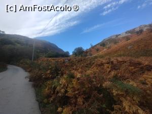 [P20] Drum de ţară  » foto by Marius 72
 - 
<span class="allrVoted glyphicon glyphicon-heart hidden" id="av1504372"></span>
<a class="m-l-10 hidden" id="sv1504372" onclick="voting_Foto_DelVot(,1504372,7515)" role="button">șterge vot <span class="glyphicon glyphicon-remove"></span></a>
<a id="v91504372" class=" c-red"  onclick="voting_Foto_SetVot(1504372)" role="button"><span class="glyphicon glyphicon-heart-empty"></span> <b>LIKE</b> = Votează poza</a> <img class="hidden"  id="f1504372W9" src="/imagini/loader.gif" border="0" /><span class="AjErrMes hidden" id="e1504372ErM"></span>