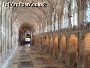 [P29] Catedrala Gloucester » foto by Marius 72
 - 
<span class="allrVoted glyphicon glyphicon-heart hidden" id="av1504381"></span>
<a class="m-l-10 hidden" id="sv1504381" onclick="voting_Foto_DelVot(,1504381,7515)" role="button">șterge vot <span class="glyphicon glyphicon-remove"></span></a>
<a id="v91504381" class=" c-red"  onclick="voting_Foto_SetVot(1504381)" role="button"><span class="glyphicon glyphicon-heart-empty"></span> <b>LIKE</b> = Votează poza</a> <img class="hidden"  id="f1504381W9" src="/imagini/loader.gif" border="0" /><span class="AjErrMes hidden" id="e1504381ErM"></span>