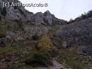 [P28] Cheddars Gorge » foto by Marius 72
 - 
<span class="allrVoted glyphicon glyphicon-heart hidden" id="av1505873"></span>
<a class="m-l-10 hidden" id="sv1505873" onclick="voting_Foto_DelVot(,1505873,7515)" role="button">șterge vot <span class="glyphicon glyphicon-remove"></span></a>
<a id="v91505873" class=" c-red"  onclick="voting_Foto_SetVot(1505873)" role="button"><span class="glyphicon glyphicon-heart-empty"></span> <b>LIKE</b> = Votează poza</a> <img class="hidden"  id="f1505873W9" src="/imagini/loader.gif" border="0" /><span class="AjErrMes hidden" id="e1505873ErM"></span>