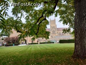 [P04] Catedrala din Wells privită din grădinile Palatului episcopal » foto by Marius 72
 - 
<span class="allrVoted glyphicon glyphicon-heart hidden" id="av1505849"></span>
<a class="m-l-10 hidden" id="sv1505849" onclick="voting_Foto_DelVot(,1505849,7515)" role="button">șterge vot <span class="glyphicon glyphicon-remove"></span></a>
<a id="v91505849" class=" c-red"  onclick="voting_Foto_SetVot(1505849)" role="button"><span class="glyphicon glyphicon-heart-empty"></span> <b>LIKE</b> = Votează poza</a> <img class="hidden"  id="f1505849W9" src="/imagini/loader.gif" border="0" /><span class="AjErrMes hidden" id="e1505849ErM"></span>