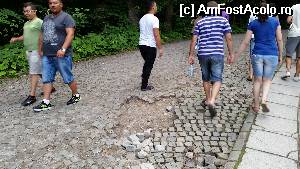 [P01]  -- <small>// FĂRĂ DESCRIERE</small> » foto by observatorul
 - 
<span class="allrVoted glyphicon glyphicon-heart hidden" id="av534647"></span>
<a class="m-l-10 hidden" id="sv534647" onclick="voting_Foto_DelVot(,534647,7548)" role="button">șterge vot <span class="glyphicon glyphicon-remove"></span></a>
<a id="v9534647" class=" c-red"  onclick="voting_Foto_SetVot(534647)" role="button"><span class="glyphicon glyphicon-heart-empty"></span> <b>LIKE</b> = Votează poza</a> <img class="hidden"  id="f534647W9" src="/imagini/loader.gif" border="0" /><span class="AjErrMes hidden" id="e534647ErM"></span>
