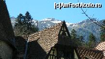 [P69]  -- <small>// FĂRĂ DESCRIERE</small> » foto by ireedeejay
 - 
<span class="allrVoted glyphicon glyphicon-heart hidden" id="av198599"></span>
<a class="m-l-10 hidden" id="sv198599" onclick="voting_Foto_DelVot(,198599,7548)" role="button">șterge vot <span class="glyphicon glyphicon-remove"></span></a>
<a id="v9198599" class=" c-red"  onclick="voting_Foto_SetVot(198599)" role="button"><span class="glyphicon glyphicon-heart-empty"></span> <b>LIKE</b> = Votează poza</a> <img class="hidden"  id="f198599W9" src="/imagini/loader.gif" border="0" /><span class="AjErrMes hidden" id="e198599ErM"></span>