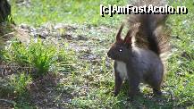 [P71]  -- <small>// FĂRĂ DESCRIERE</small> » foto by ireedeejay
 - 
<span class="allrVoted glyphicon glyphicon-heart hidden" id="av198601"></span>
<a class="m-l-10 hidden" id="sv198601" onclick="voting_Foto_DelVot(,198601,7548)" role="button">șterge vot <span class="glyphicon glyphicon-remove"></span></a>
<a id="v9198601" class=" c-red"  onclick="voting_Foto_SetVot(198601)" role="button"><span class="glyphicon glyphicon-heart-empty"></span> <b>LIKE</b> = Votează poza</a> <img class="hidden"  id="f198601W9" src="/imagini/loader.gif" border="0" /><span class="AjErrMes hidden" id="e198601ErM"></span>
