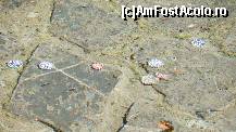 [P72]  -- <small>// FĂRĂ DESCRIERE</small> » foto by ireedeejay
 - 
<span class="allrVoted glyphicon glyphicon-heart hidden" id="av198602"></span>
<a class="m-l-10 hidden" id="sv198602" onclick="voting_Foto_DelVot(,198602,7548)" role="button">șterge vot <span class="glyphicon glyphicon-remove"></span></a>
<a id="v9198602" class=" c-red"  onclick="voting_Foto_SetVot(198602)" role="button"><span class="glyphicon glyphicon-heart-empty"></span> <b>LIKE</b> = Votează poza</a> <img class="hidden"  id="f198602W9" src="/imagini/loader.gif" border="0" /><span class="AjErrMes hidden" id="e198602ErM"></span>