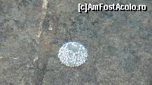 [P73]  -- <small>// FĂRĂ DESCRIERE</small> » foto by ireedeejay
 - 
<span class="allrVoted glyphicon glyphicon-heart hidden" id="av198603"></span>
<a class="m-l-10 hidden" id="sv198603" onclick="voting_Foto_DelVot(,198603,7548)" role="button">șterge vot <span class="glyphicon glyphicon-remove"></span></a>
<a id="v9198603" class=" c-red"  onclick="voting_Foto_SetVot(198603)" role="button"><span class="glyphicon glyphicon-heart-empty"></span> <b>LIKE</b> = Votează poza</a> <img class="hidden"  id="f198603W9" src="/imagini/loader.gif" border="0" /><span class="AjErrMes hidden" id="e198603ErM"></span>
