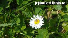 [P88]  -- <small>// FĂRĂ DESCRIERE</small> » foto by ireedeejay
 - 
<span class="allrVoted glyphicon glyphicon-heart hidden" id="av198624"></span>
<a class="m-l-10 hidden" id="sv198624" onclick="voting_Foto_DelVot(,198624,7548)" role="button">șterge vot <span class="glyphicon glyphicon-remove"></span></a>
<a id="v9198624" class=" c-red"  onclick="voting_Foto_SetVot(198624)" role="button"><span class="glyphicon glyphicon-heart-empty"></span> <b>LIKE</b> = Votează poza</a> <img class="hidden"  id="f198624W9" src="/imagini/loader.gif" border="0" /><span class="AjErrMes hidden" id="e198624ErM"></span>