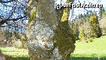 [P92]  -- <small>// FĂRĂ DESCRIERE</small> » foto by ireedeejay
 - 
<span class="allrVoted glyphicon glyphicon-heart hidden" id="av198630"></span>
<a class="m-l-10 hidden" id="sv198630" onclick="voting_Foto_DelVot(,198630,7548)" role="button">șterge vot <span class="glyphicon glyphicon-remove"></span></a>
<a id="v9198630" class=" c-red"  onclick="voting_Foto_SetVot(198630)" role="button"><span class="glyphicon glyphicon-heart-empty"></span> <b>LIKE</b> = Votează poza</a> <img class="hidden"  id="f198630W9" src="/imagini/loader.gif" border="0" /><span class="AjErrMes hidden" id="e198630ErM"></span>