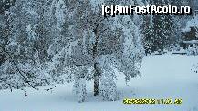 [P21] poveste de iarna la castelul Peles. » foto by adryana
 - 
<span class="allrVoted glyphicon glyphicon-heart hidden" id="av294733"></span>
<a class="m-l-10 hidden" id="sv294733" onclick="voting_Foto_DelVot(,294733,7548)" role="button">șterge vot <span class="glyphicon glyphicon-remove"></span></a>
<a id="v9294733" class=" c-red"  onclick="voting_Foto_SetVot(294733)" role="button"><span class="glyphicon glyphicon-heart-empty"></span> <b>LIKE</b> = Votează poza</a> <img class="hidden"  id="f294733W9" src="/imagini/loader.gif" border="0" /><span class="AjErrMes hidden" id="e294733ErM"></span>
