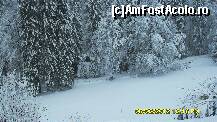 [P57] poveste de iarna in gradina castelului Peles. » foto by adryana
 - 
<span class="allrVoted glyphicon glyphicon-heart hidden" id="av294773"></span>
<a class="m-l-10 hidden" id="sv294773" onclick="voting_Foto_DelVot(,294773,7548)" role="button">șterge vot <span class="glyphicon glyphicon-remove"></span></a>
<a id="v9294773" class=" c-red"  onclick="voting_Foto_SetVot(294773)" role="button"><span class="glyphicon glyphicon-heart-empty"></span> <b>LIKE</b> = Votează poza</a> <img class="hidden"  id="f294773W9" src="/imagini/loader.gif" border="0" /><span class="AjErrMes hidden" id="e294773ErM"></span>