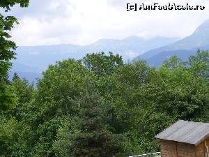 [P10] Verdeata pomilor.  » foto by liviu49
 - 
<span class="allrVoted glyphicon glyphicon-heart hidden" id="av620963"></span>
<a class="m-l-10 hidden" id="sv620963" onclick="voting_Foto_DelVot(,620963,7573)" role="button">șterge vot <span class="glyphicon glyphicon-remove"></span></a>
<a id="v9620963" class=" c-red"  onclick="voting_Foto_SetVot(620963)" role="button"><span class="glyphicon glyphicon-heart-empty"></span> <b>LIKE</b> = Votează poza</a> <img class="hidden"  id="f620963W9" src="/imagini/loader.gif" border="0" /><span class="AjErrMes hidden" id="e620963ErM"></span>