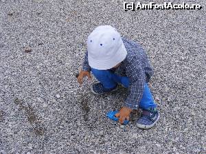 [P11] Ghici cine se joaca aici?  » foto by liviu49
 - 
<span class="allrVoted glyphicon glyphicon-heart hidden" id="av620964"></span>
<a class="m-l-10 hidden" id="sv620964" onclick="voting_Foto_DelVot(,620964,7573)" role="button">șterge vot <span class="glyphicon glyphicon-remove"></span></a>
<a id="v9620964" class=" c-red"  onclick="voting_Foto_SetVot(620964)" role="button"><span class="glyphicon glyphicon-heart-empty"></span> <b>LIKE</b> = Votează poza</a> <img class="hidden"  id="f620964W9" src="/imagini/loader.gif" border="0" /><span class="AjErrMes hidden" id="e620964ErM"></span>