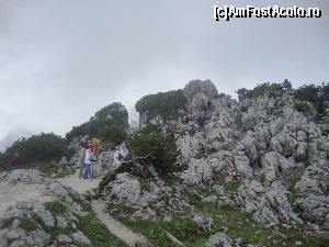 [P11] Pe varf de munte printre stanci si jnepeni.  » foto by liviu49
 - 
<span class="allrVoted glyphicon glyphicon-heart hidden" id="av621962"></span>
<a class="m-l-10 hidden" id="sv621962" onclick="voting_Foto_DelVot(,621962,7573)" role="button">șterge vot <span class="glyphicon glyphicon-remove"></span></a>
<a id="v9621962" class=" c-red"  onclick="voting_Foto_SetVot(621962)" role="button"><span class="glyphicon glyphicon-heart-empty"></span> <b>LIKE</b> = Votează poza</a> <img class="hidden"  id="f621962W9" src="/imagini/loader.gif" border="0" /><span class="AjErrMes hidden" id="e621962ErM"></span>