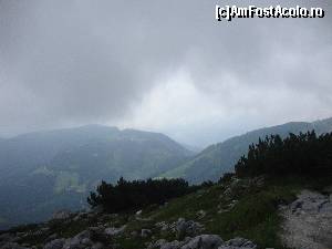 [P12]  -- <small>// FĂRĂ DESCRIERE</small> » foto by liviu49
 - 
<span class="allrVoted glyphicon glyphicon-heart hidden" id="av621963"></span>
<a class="m-l-10 hidden" id="sv621963" onclick="voting_Foto_DelVot(,621963,7573)" role="button">șterge vot <span class="glyphicon glyphicon-remove"></span></a>
<a id="v9621963" class=" c-red"  onclick="voting_Foto_SetVot(621963)" role="button"><span class="glyphicon glyphicon-heart-empty"></span> <b>LIKE</b> = Votează poza</a> <img class="hidden"  id="f621963W9" src="/imagini/loader.gif" border="0" /><span class="AjErrMes hidden" id="e621963ErM"></span>