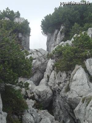 [P13] Muntele in apropierea Cuibului vulturilor.  » foto by liviu49
 - 
<span class="allrVoted glyphicon glyphicon-heart hidden" id="av621964"></span>
<a class="m-l-10 hidden" id="sv621964" onclick="voting_Foto_DelVot(,621964,7573)" role="button">șterge vot <span class="glyphicon glyphicon-remove"></span></a>
<a id="v9621964" class=" c-red"  onclick="voting_Foto_SetVot(621964)" role="button"><span class="glyphicon glyphicon-heart-empty"></span> <b>LIKE</b> = Votează poza</a> <img class="hidden"  id="f621964W9" src="/imagini/loader.gif" border="0" /><span class="AjErrMes hidden" id="e621964ErM"></span>