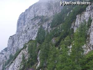 [P28] Muntele in care este sapat tunelul.  » foto by liviu49
 - 
<span class="allrVoted glyphicon glyphicon-heart hidden" id="av621979"></span>
<a class="m-l-10 hidden" id="sv621979" onclick="voting_Foto_DelVot(,621979,7573)" role="button">șterge vot <span class="glyphicon glyphicon-remove"></span></a>
<a id="v9621979" class=" c-red"  onclick="voting_Foto_SetVot(621979)" role="button"><span class="glyphicon glyphicon-heart-empty"></span> <b>LIKE</b> = Votează poza</a> <img class="hidden"  id="f621979W9" src="/imagini/loader.gif" border="0" /><span class="AjErrMes hidden" id="e621979ErM"></span>