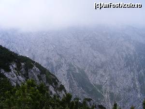 [P41]  -- <small>// FĂRĂ DESCRIERE</small> » foto by liviu49
 - 
<span class="allrVoted glyphicon glyphicon-heart hidden" id="av621992"></span>
<a class="m-l-10 hidden" id="sv621992" onclick="voting_Foto_DelVot(,621992,7573)" role="button">șterge vot <span class="glyphicon glyphicon-remove"></span></a>
<a id="v9621992" class=" c-red"  onclick="voting_Foto_SetVot(621992)" role="button"><span class="glyphicon glyphicon-heart-empty"></span> <b>LIKE</b> = Votează poza</a> <img class="hidden"  id="f621992W9" src="/imagini/loader.gif" border="0" /><span class="AjErrMes hidden" id="e621992ErM"></span>