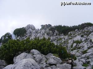 [P43] Jnepeni pe stanci, la aproape 2000 m.  » foto by liviu49
 - 
<span class="allrVoted glyphicon glyphicon-heart hidden" id="av621994"></span>
<a class="m-l-10 hidden" id="sv621994" onclick="voting_Foto_DelVot(,621994,7573)" role="button">șterge vot <span class="glyphicon glyphicon-remove"></span></a>
<a id="v9621994" class=" c-red"  onclick="voting_Foto_SetVot(621994)" role="button"><span class="glyphicon glyphicon-heart-empty"></span> <b>LIKE</b> = Votează poza</a> <img class="hidden"  id="f621994W9" src="/imagini/loader.gif" border="0" /><span class="AjErrMes hidden" id="e621994ErM"></span>