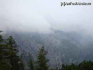 [P07] Ceata nu poate impiedica admirarea peisajului.  » foto by liviu49
 - 
<span class="allrVoted glyphicon glyphicon-heart hidden" id="av621958"></span>
<a class="m-l-10 hidden" id="sv621958" onclick="voting_Foto_DelVot(,621958,7573)" role="button">șterge vot <span class="glyphicon glyphicon-remove"></span></a>
<a id="v9621958" class=" c-red"  onclick="voting_Foto_SetVot(621958)" role="button"><span class="glyphicon glyphicon-heart-empty"></span> <b>LIKE</b> = Votează poza</a> <img class="hidden"  id="f621958W9" src="/imagini/loader.gif" border="0" /><span class="AjErrMes hidden" id="e621958ErM"></span>