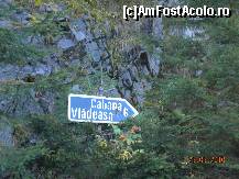 [P08] De aici drumul devine din ce in ce mai rau » foto by Alina Morar
 - 
<span class="allrVoted glyphicon glyphicon-heart hidden" id="av142544"></span>
<a class="m-l-10 hidden" id="sv142544" onclick="voting_Foto_DelVot(,142544,7596)" role="button">șterge vot <span class="glyphicon glyphicon-remove"></span></a>
<a id="v9142544" class=" c-red"  onclick="voting_Foto_SetVot(142544)" role="button"><span class="glyphicon glyphicon-heart-empty"></span> <b>LIKE</b> = Votează poza</a> <img class="hidden"  id="f142544W9" src="/imagini/loader.gif" border="0" /><span class="AjErrMes hidden" id="e142544ErM"></span>