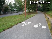 [P14] Pista de biciclete cu doua benzi. » foto by Nicu
 - 
<span class="allrVoted glyphicon glyphicon-heart hidden" id="av152777"></span>
<a class="m-l-10 hidden" id="sv152777" onclick="voting_Foto_DelVot(,152777,7805)" role="button">șterge vot <span class="glyphicon glyphicon-remove"></span></a>
<a id="v9152777" class=" c-red"  onclick="voting_Foto_SetVot(152777)" role="button"><span class="glyphicon glyphicon-heart-empty"></span> <b>LIKE</b> = Votează poza</a> <img class="hidden"  id="f152777W9" src="/imagini/loader.gif" border="0" /><span class="AjErrMes hidden" id="e152777ErM"></span>