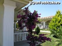 [P06] Gradina si o parte din bungalowuri » foto by danidaria
 - 
<span class="allrVoted glyphicon glyphicon-heart hidden" id="av228064"></span>
<a class="m-l-10 hidden" id="sv228064" onclick="voting_Foto_DelVot(,228064,7822)" role="button">șterge vot <span class="glyphicon glyphicon-remove"></span></a>
<a id="v9228064" class=" c-red"  onclick="voting_Foto_SetVot(228064)" role="button"><span class="glyphicon glyphicon-heart-empty"></span> <b>LIKE</b> = Votează poza</a> <img class="hidden"  id="f228064W9" src="/imagini/loader.gif" border="0" /><span class="AjErrMes hidden" id="e228064ErM"></span>