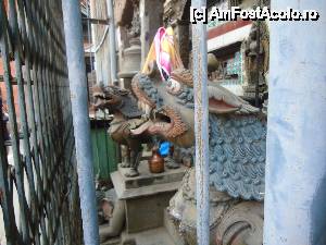 [P04] cainii paznici » foto by buterfly*
 - 
<span class="allrVoted glyphicon glyphicon-heart hidden" id="av508505"></span>
<a class="m-l-10 hidden" id="sv508505" onclick="voting_Foto_DelVot(,508505,7929)" role="button">șterge vot <span class="glyphicon glyphicon-remove"></span></a>
<a id="v9508505" class=" c-red"  onclick="voting_Foto_SetVot(508505)" role="button"><span class="glyphicon glyphicon-heart-empty"></span> <b>LIKE</b> = Votează poza</a> <img class="hidden"  id="f508505W9" src="/imagini/loader.gif" border="0" /><span class="AjErrMes hidden" id="e508505ErM"></span>