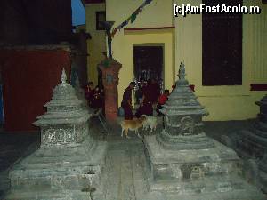 [P25] calugari citind la lumina lumanarii » foto by buterfly*
 - 
<span class="allrVoted glyphicon glyphicon-heart hidden" id="av509252"></span>
<a class="m-l-10 hidden" id="sv509252" onclick="voting_Foto_DelVot(,509252,7929)" role="button">șterge vot <span class="glyphicon glyphicon-remove"></span></a>
<a id="v9509252" class=" c-red"  onclick="voting_Foto_SetVot(509252)" role="button"><span class="glyphicon glyphicon-heart-empty"></span> <b>LIKE</b> = Votează poza</a> <img class="hidden"  id="f509252W9" src="/imagini/loader.gif" border="0" /><span class="AjErrMes hidden" id="e509252ErM"></span>