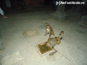 [P26]  -- <small>// FĂRĂ DESCRIERE</small> » foto by buterfly*
 - 
<span class="allrVoted glyphicon glyphicon-heart hidden" id="av509253"></span>
<a class="m-l-10 hidden" id="sv509253" onclick="voting_Foto_DelVot(,509253,7929)" role="button">șterge vot <span class="glyphicon glyphicon-remove"></span></a>
<a id="v9509253" class=" c-red"  onclick="voting_Foto_SetVot(509253)" role="button"><span class="glyphicon glyphicon-heart-empty"></span> <b>LIKE</b> = Votează poza</a> <img class="hidden"  id="f509253W9" src="/imagini/loader.gif" border="0" /><span class="AjErrMes hidden" id="e509253ErM"></span>