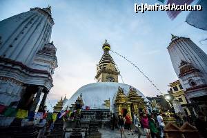 [P27]  -- <small>// FĂRĂ DESCRIERE</small> » foto by buterfly*
 - 
<span class="allrVoted glyphicon glyphicon-heart hidden" id="av509254"></span>
<a class="m-l-10 hidden" id="sv509254" onclick="voting_Foto_DelVot(,509254,7929)" role="button">șterge vot <span class="glyphicon glyphicon-remove"></span></a>
<a id="v9509254" class=" c-red"  onclick="voting_Foto_SetVot(509254)" role="button"><span class="glyphicon glyphicon-heart-empty"></span> <b>LIKE</b> = Votează poza</a> <img class="hidden"  id="f509254W9" src="/imagini/loader.gif" border="0" /><span class="AjErrMes hidden" id="e509254ErM"></span>