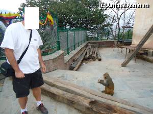 [P09]  -- <small>// FĂRĂ DESCRIERE</small> » foto by buterfly*
 - 
<span class="allrVoted glyphicon glyphicon-heart hidden" id="av509236"></span>
<a class="m-l-10 hidden" id="sv509236" onclick="voting_Foto_DelVot(,509236,7929)" role="button">șterge vot <span class="glyphicon glyphicon-remove"></span></a>
<a id="v9509236" class=" c-red"  onclick="voting_Foto_SetVot(509236)" role="button"><span class="glyphicon glyphicon-heart-empty"></span> <b>LIKE</b> = Votează poza</a> <img class="hidden"  id="f509236W9" src="/imagini/loader.gif" border="0" /><span class="AjErrMes hidden" id="e509236ErM"></span>