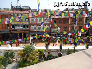 [P25] meditatie » foto by buterfly*
 - 
<span class="allrVoted glyphicon glyphicon-heart hidden" id="av510028"></span>
<a class="m-l-10 hidden" id="sv510028" onclick="voting_Foto_DelVot(,510028,7929)" role="button">șterge vot <span class="glyphicon glyphicon-remove"></span></a>
<a id="v9510028" class=" c-red"  onclick="voting_Foto_SetVot(510028)" role="button"><span class="glyphicon glyphicon-heart-empty"></span> <b>LIKE</b> = Votează poza</a> <img class="hidden"  id="f510028W9" src="/imagini/loader.gif" border="0" /><span class="AjErrMes hidden" id="e510028ErM"></span>