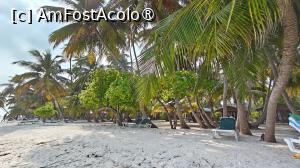 [P37]  -- <small>// FĂRĂ DESCRIERE</small> » foto by elenaadina
 - 
<span class="allrVoted glyphicon glyphicon-heart hidden" id="av1524063"></span>
<a class="m-l-10 hidden" id="sv1524063" onclick="voting_Foto_DelVot(,1524063,7942)" role="button">șterge vot <span class="glyphicon glyphicon-remove"></span></a>
<a id="v91524063" class=" c-red"  onclick="voting_Foto_SetVot(1524063)" role="button"><span class="glyphicon glyphicon-heart-empty"></span> <b>LIKE</b> = Votează poza</a> <img class="hidden"  id="f1524063W9" src="/imagini/loader.gif" border="0" /><span class="AjErrMes hidden" id="e1524063ErM"></span>