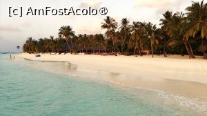 [P56]  -- <small>// FĂRĂ DESCRIERE</small> » foto by elenaadina
 - 
<span class="allrVoted glyphicon glyphicon-heart hidden" id="av1524082"></span>
<a class="m-l-10 hidden" id="sv1524082" onclick="voting_Foto_DelVot(,1524082,7942)" role="button">șterge vot <span class="glyphicon glyphicon-remove"></span></a>
<a id="v91524082" class=" c-red"  onclick="voting_Foto_SetVot(1524082)" role="button"><span class="glyphicon glyphicon-heart-empty"></span> <b>LIKE</b> = Votează poza</a> <img class="hidden"  id="f1524082W9" src="/imagini/loader.gif" border="0" /><span class="AjErrMes hidden" id="e1524082ErM"></span>