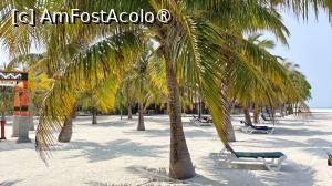 [P08] Meeru Maldives 2026 » foto by elenaadina
 - 
<span class="allrVoted glyphicon glyphicon-heart hidden" id="av1524034"></span>
<a class="m-l-10 hidden" id="sv1524034" onclick="voting_Foto_DelVot(,1524034,7942)" role="button">șterge vot <span class="glyphicon glyphicon-remove"></span></a>
<a id="v91524034" class=" c-red"  onclick="voting_Foto_SetVot(1524034)" role="button"><span class="glyphicon glyphicon-heart-empty"></span> <b>LIKE</b> = Votează poza</a> <img class="hidden"  id="f1524034W9" src="/imagini/loader.gif" border="0" /><span class="AjErrMes hidden" id="e1524034ErM"></span>