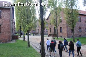 [P26] Pamięci i Muzeum Auschwitz-Birkenau, Auschwitz I, Pe alee grupul nostru de francezi, am fost nouă, 7 tineri și doi seniori, ghida este cea cu bluză bleu... » foto by mprofeanu
 - 
<span class="allrVoted glyphicon glyphicon-heart hidden" id="av1360632"></span>
<a class="m-l-10 hidden" id="sv1360632" onclick="voting_Foto_DelVot(,1360632,7968)" role="button">șterge vot <span class="glyphicon glyphicon-remove"></span></a>
<a id="v91360632" class=" c-red"  onclick="voting_Foto_SetVot(1360632)" role="button"><span class="glyphicon glyphicon-heart-empty"></span> <b>LIKE</b> = Votează poza</a> <img class="hidden"  id="f1360632W9" src="/imagini/loader.gif" border="0" /><span class="AjErrMes hidden" id="e1360632ErM"></span>