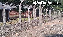 [P10] Gard de sârmă ghimpată din lagărul de muncă şi exterminare Auschwitz I. Memorialul Auschwitz Polonia.  » foto by traian.leuca †
 - 
<span class="allrVoted glyphicon glyphicon-heart hidden" id="av488525"></span>
<a class="m-l-10 hidden" id="sv488525" onclick="voting_Foto_DelVot(,488525,7968)" role="button">șterge vot <span class="glyphicon glyphicon-remove"></span></a>
<a id="v9488525" class=" c-red"  onclick="voting_Foto_SetVot(488525)" role="button"><span class="glyphicon glyphicon-heart-empty"></span> <b>LIKE</b> = Votează poza</a> <img class="hidden"  id="f488525W9" src="/imagini/loader.gif" border="0" /><span class="AjErrMes hidden" id="e488525ErM"></span>