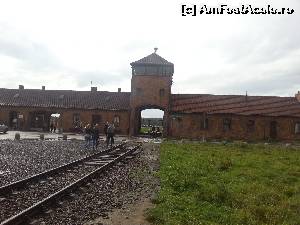 [P30] Birkenau- muzeul Auschwitz II » foto by iruk
 - 
<span class="allrVoted glyphicon glyphicon-heart hidden" id="av561158"></span>
<a class="m-l-10 hidden" id="sv561158" onclick="voting_Foto_DelVot(,561158,7968)" role="button">șterge vot <span class="glyphicon glyphicon-remove"></span></a>
<a id="v9561158" class=" c-red"  onclick="voting_Foto_SetVot(561158)" role="button"><span class="glyphicon glyphicon-heart-empty"></span> <b>LIKE</b> = Votează poza</a> <img class="hidden"  id="f561158W9" src="/imagini/loader.gif" border="0" /><span class="AjErrMes hidden" id="e561158ErM"></span>