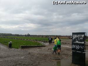 [P32] Birkenau- muzeul Auschwitz II » foto by iruk
 - 
<span class="allrVoted glyphicon glyphicon-heart hidden" id="av561162"></span>
<a class="m-l-10 hidden" id="sv561162" onclick="voting_Foto_DelVot(,561162,7968)" role="button">șterge vot <span class="glyphicon glyphicon-remove"></span></a>
<a id="v9561162" class=" c-red"  onclick="voting_Foto_SetVot(561162)" role="button"><span class="glyphicon glyphicon-heart-empty"></span> <b>LIKE</b> = Votează poza</a> <img class="hidden"  id="f561162W9" src="/imagini/loader.gif" border="0" /><span class="AjErrMes hidden" id="e561162ErM"></span>