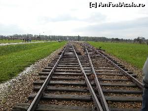 [P39] Birkenau- muzeul Auschwitz II » foto by iruk
 - 
<span class="allrVoted glyphicon glyphicon-heart hidden" id="av561170"></span>
<a class="m-l-10 hidden" id="sv561170" onclick="voting_Foto_DelVot(,561170,7968)" role="button">șterge vot <span class="glyphicon glyphicon-remove"></span></a>
<a id="v9561170" class=" c-red"  onclick="voting_Foto_SetVot(561170)" role="button"><span class="glyphicon glyphicon-heart-empty"></span> <b>LIKE</b> = Votează poza</a> <img class="hidden"  id="f561170W9" src="/imagini/loader.gif" border="0" /><span class="AjErrMes hidden" id="e561170ErM"></span>