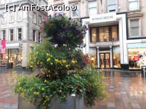 [P55] Strada comercială Buchanan, Glasgow.  » foto by Aurici
 - 
<span class="allrVoted glyphicon glyphicon-heart hidden" id="av938875"></span>
<a class="m-l-10 hidden" id="sv938875" onclick="voting_Foto_DelVot(,938875,7991)" role="button">șterge vot <span class="glyphicon glyphicon-remove"></span></a>
<a id="v9938875" class=" c-red"  onclick="voting_Foto_SetVot(938875)" role="button"><span class="glyphicon glyphicon-heart-empty"></span> <b>LIKE</b> = Votează poza</a> <img class="hidden"  id="f938875W9" src="/imagini/loader.gif" border="0" /><span class="AjErrMes hidden" id="e938875ErM"></span>