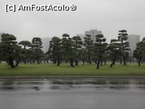 [P86] Tokyo, Piața Mare din fața Palatului Imperial cu chiparoși, iarbă și ploaie caldă » foto by mprofeanu
 - 
<span class="allrVoted glyphicon glyphicon-heart hidden" id="av745816"></span>
<a class="m-l-10 hidden" id="sv745816" onclick="voting_Foto_DelVot(,745816,7999)" role="button">șterge vot <span class="glyphicon glyphicon-remove"></span></a>
<a id="v9745816" class=" c-red"  onclick="voting_Foto_SetVot(745816)" role="button"><span class="glyphicon glyphicon-heart-empty"></span> <b>LIKE</b> = Votează poza</a> <img class="hidden"  id="f745816W9" src="/imagini/loader.gif" border="0" /><span class="AjErrMes hidden" id="e745816ErM"></span>