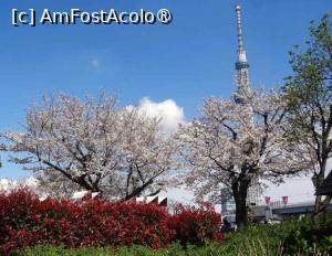 [P14] Printre cireși se zărește Tokyo Skytree cu o înălțime de 634 m » foto by BOGDAN DSN
 - 
<span class="allrVoted glyphicon glyphicon-heart hidden" id="av1455592"></span>
<a class="m-l-10 hidden" id="sv1455592" onclick="voting_Foto_DelVot(,1455592,7999)" role="button">șterge vot <span class="glyphicon glyphicon-remove"></span></a>
<a id="v91455592" class=" c-red"  onclick="voting_Foto_SetVot(1455592)" role="button"><span class="glyphicon glyphicon-heart-empty"></span> <b>LIKE</b> = Votează poza</a> <img class="hidden"  id="f1455592W9" src="/imagini/loader.gif" border="0" /><span class="AjErrMes hidden" id="e1455592ErM"></span>