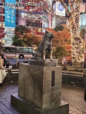 [P46] Hachiko își așteaptă stăpânul » foto by DOINITA
 - 
<span class="allrVoted glyphicon glyphicon-heart hidden" id="av1476058"></span>
<a class="m-l-10 hidden" id="sv1476058" onclick="voting_Foto_DelVot(,1476058,7999)" role="button">șterge vot <span class="glyphicon glyphicon-remove"></span></a>
<a id="v91476058" class=" c-red"  onclick="voting_Foto_SetVot(1476058)" role="button"><span class="glyphicon glyphicon-heart-empty"></span> <b>LIKE</b> = Votează poza</a> <img class="hidden"  id="f1476058W9" src="/imagini/loader.gif" border="0" /><span class="AjErrMes hidden" id="e1476058ErM"></span>
